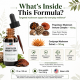 Adaptogen Immunity Drops by Neurovitality — 6-mushroom immune complex with Chaga, Reishi, Maitake, Shiitake, Turkey Tail & Cordyceps, 1 fl oz liquid drops